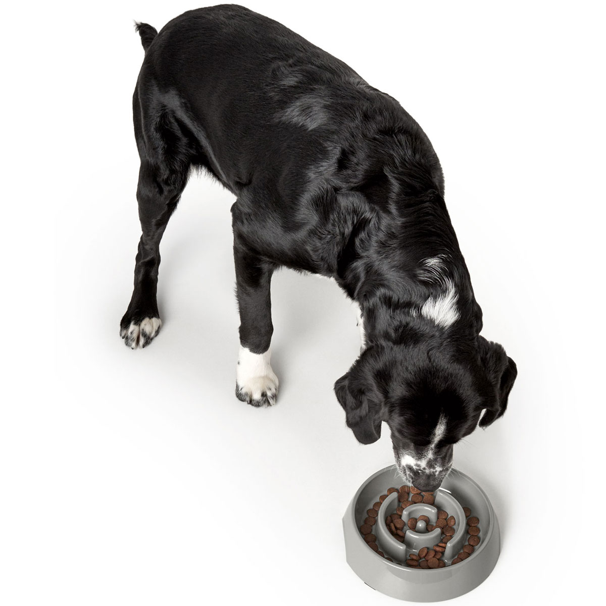 Hunter Anti-Schlingnapf Atlanta grau 550 ml Bild 2