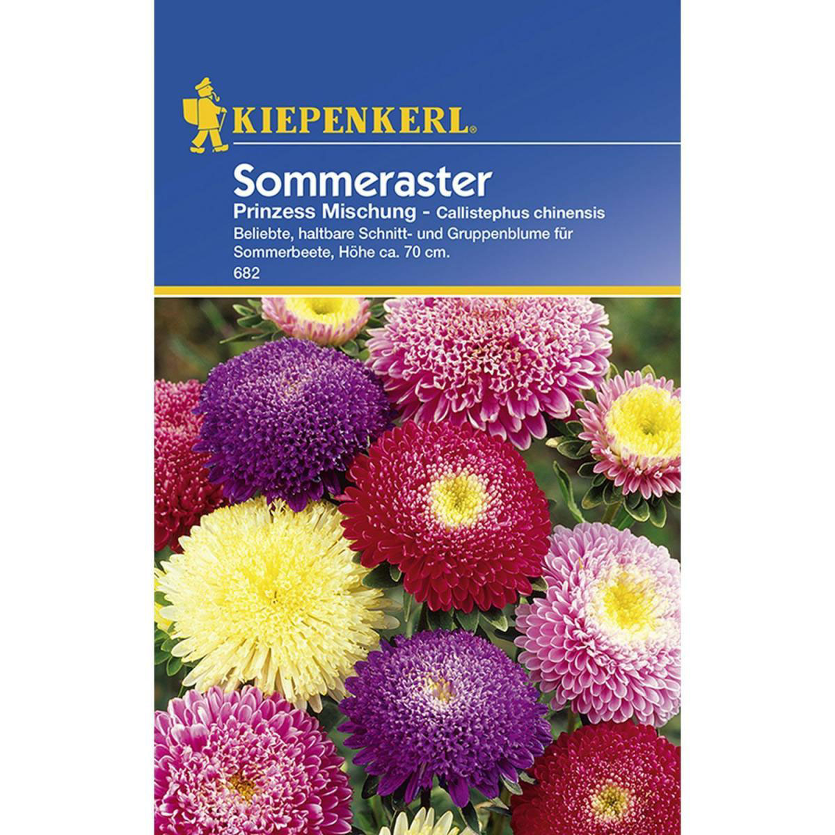 Kiepenkerl Prinzeß-Aster Callistephus Mischung Bild 1