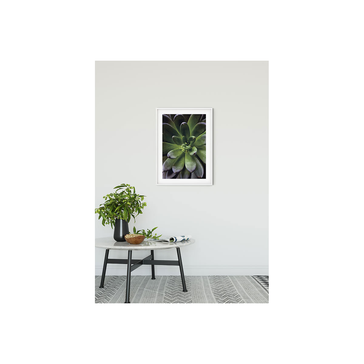 Komar  Wandbild Succulent Single 40x50 cm