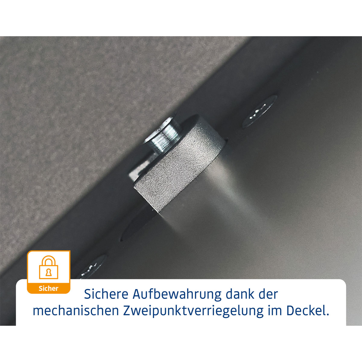 EcoStar  Gartenbox Elegant 1320 RAL9007 Bild 9