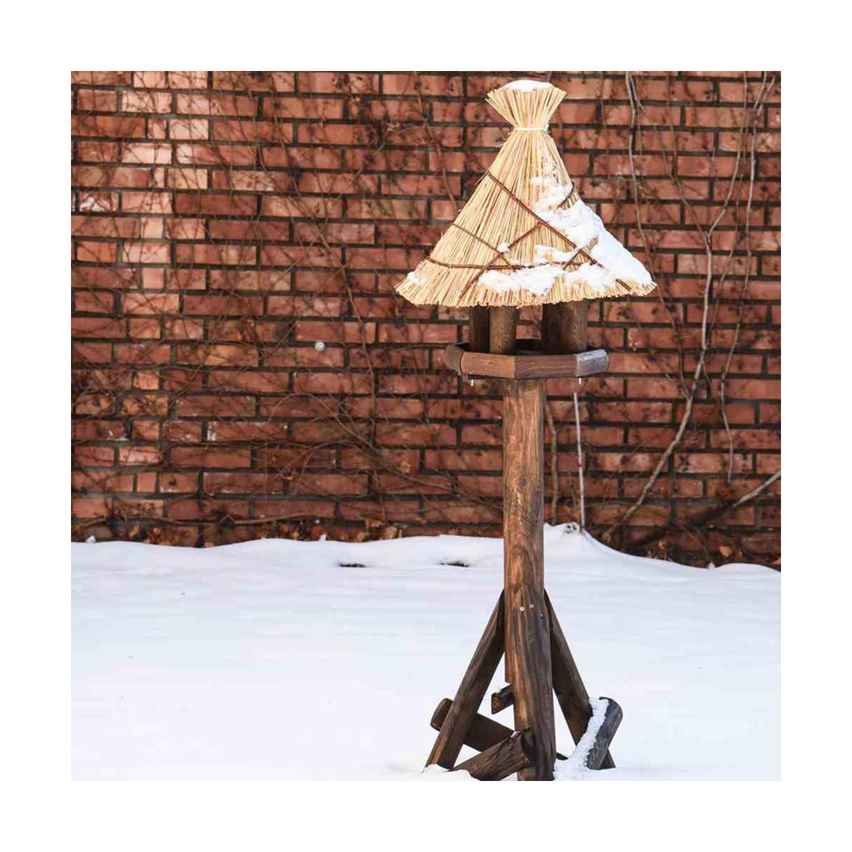 Siena Garden  Vogelhaus Sylt Bild 4