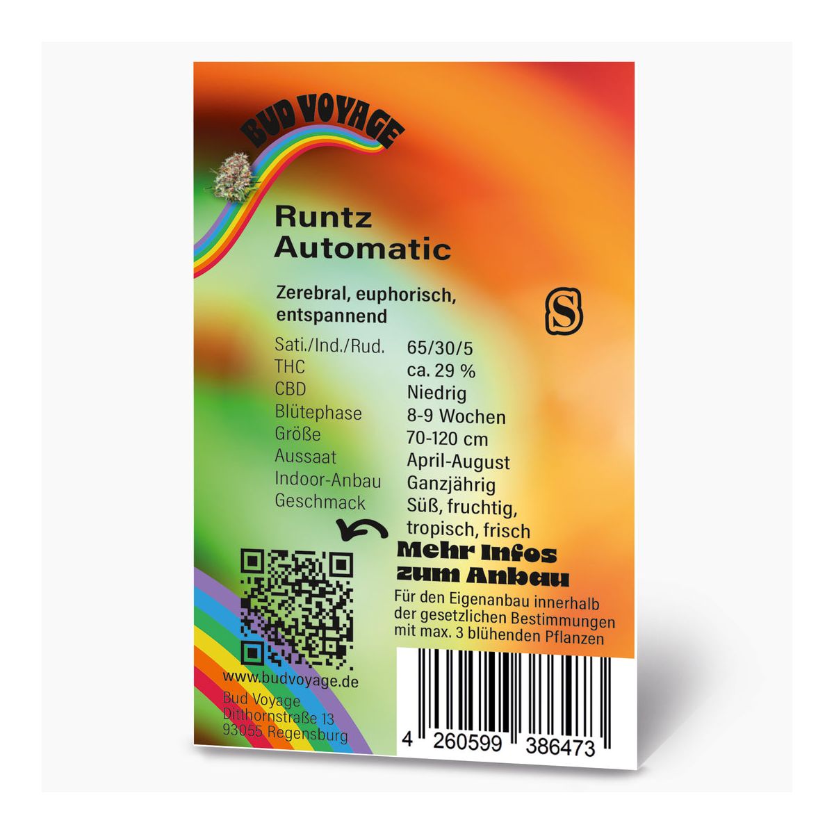 Hanfsamen Runtz Auto Bild 3