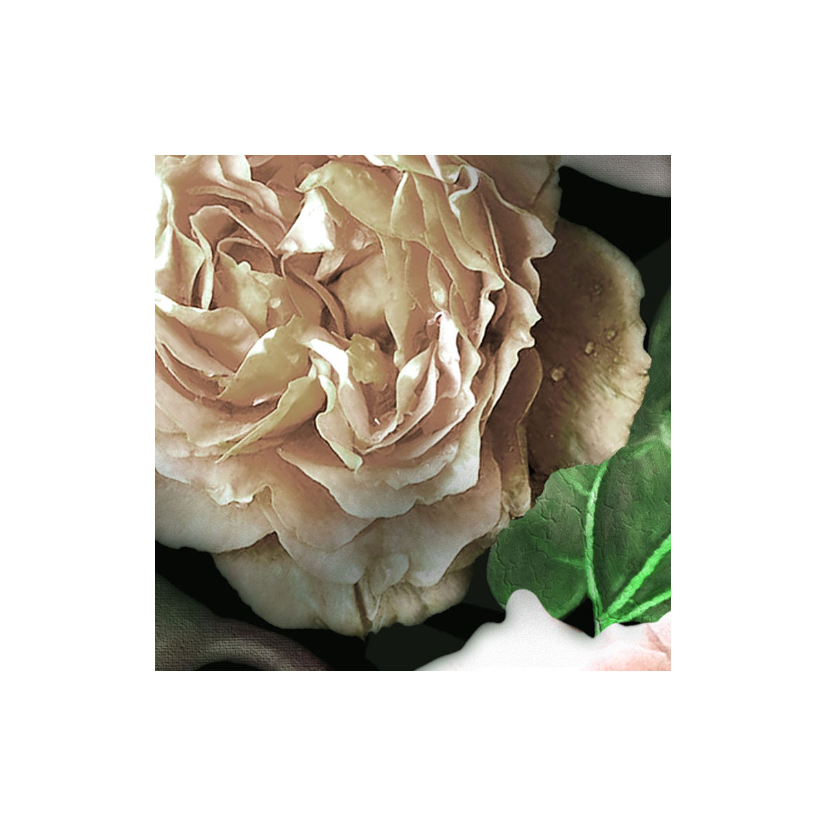 Komar  Vlies Fototapete Victoria Black 400x250 cm Bild 4