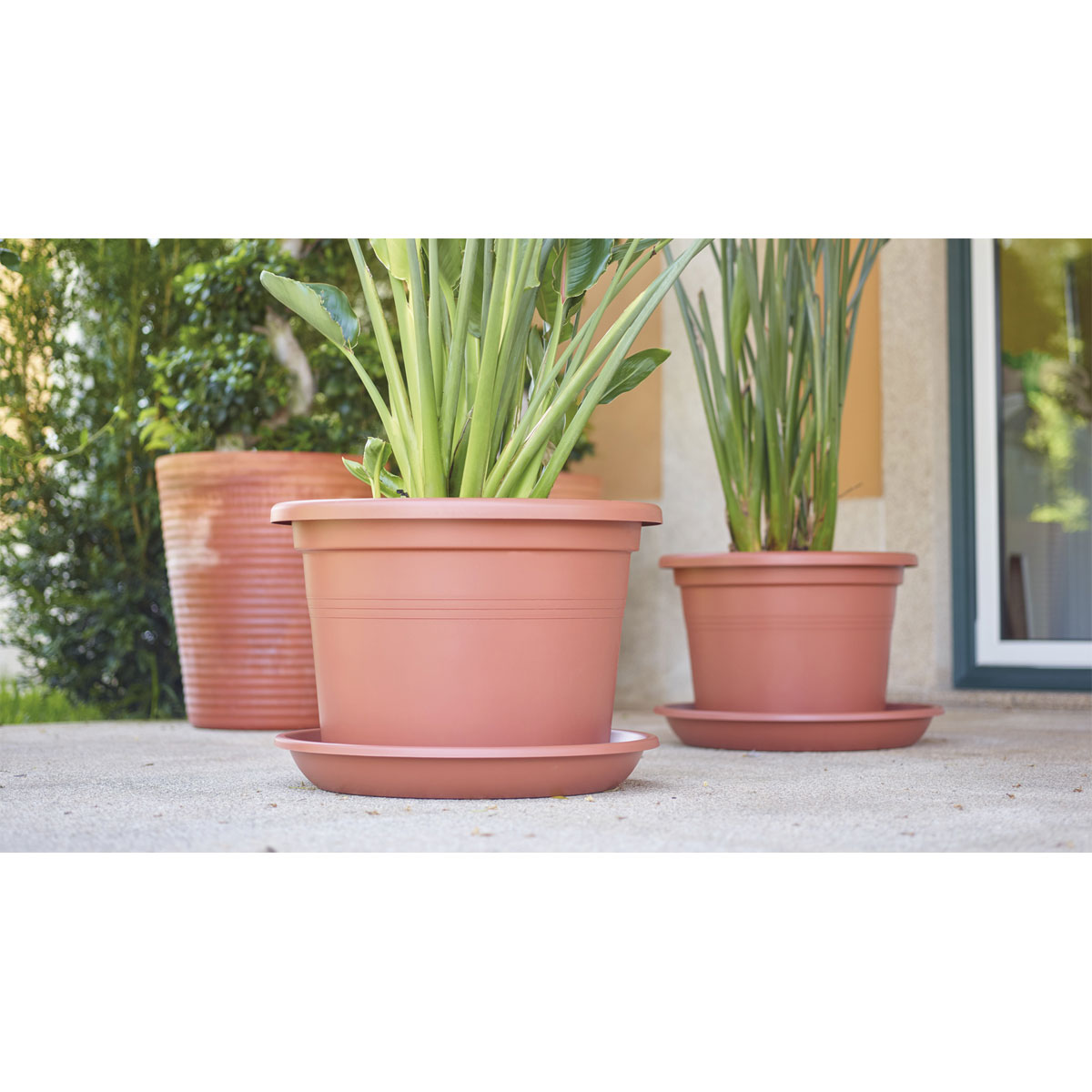 Untersetzer Round Saucer 11,5 cm anthrazit Bild 2