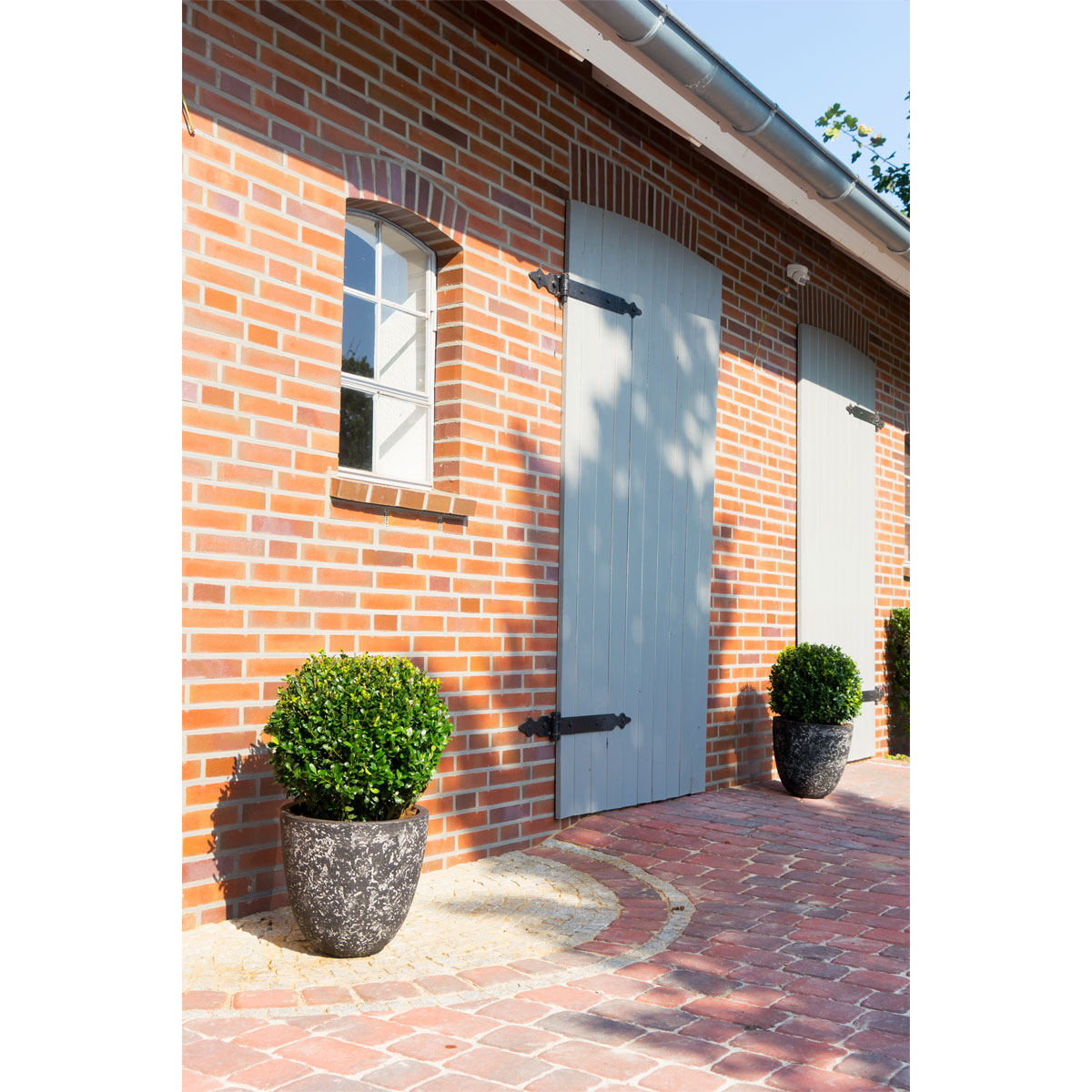 Plantiflor Grüne Stechpalme Robustico Topf Durchmesser 17 cm