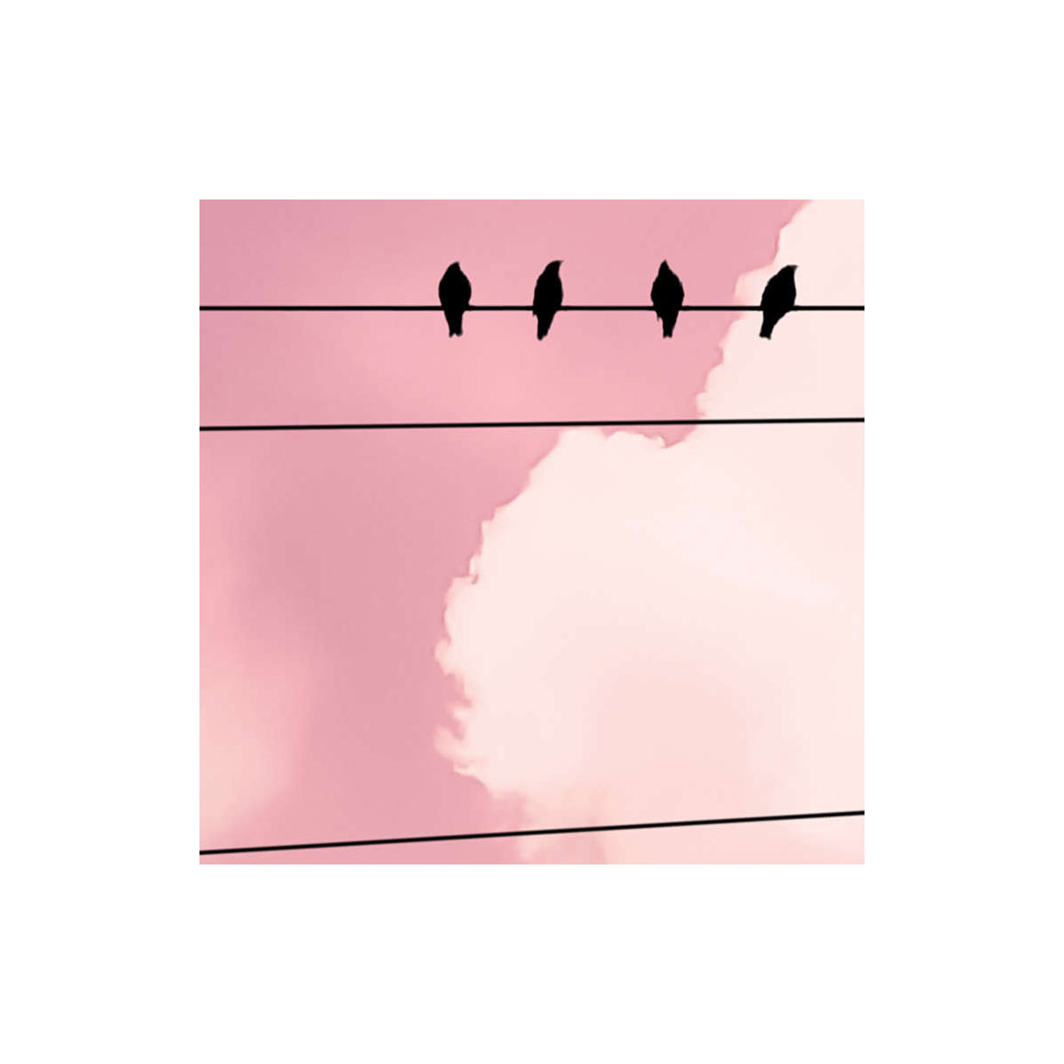 Komar  Vlies Fototapete Cloud Wire 400x250 cm Bild 5