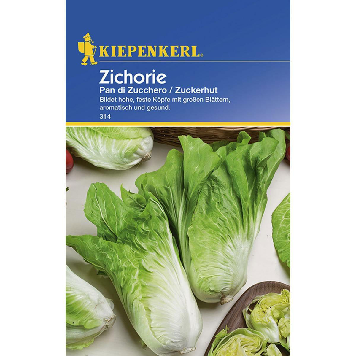 Kiepenkerl Zichoriensalat Pan di Zucchero