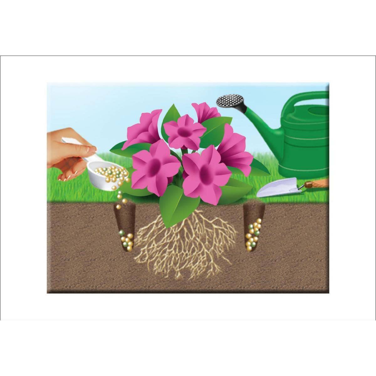 Compo 5in1 Pflanz-Dünger und mehr 1,5 kg Bild 3