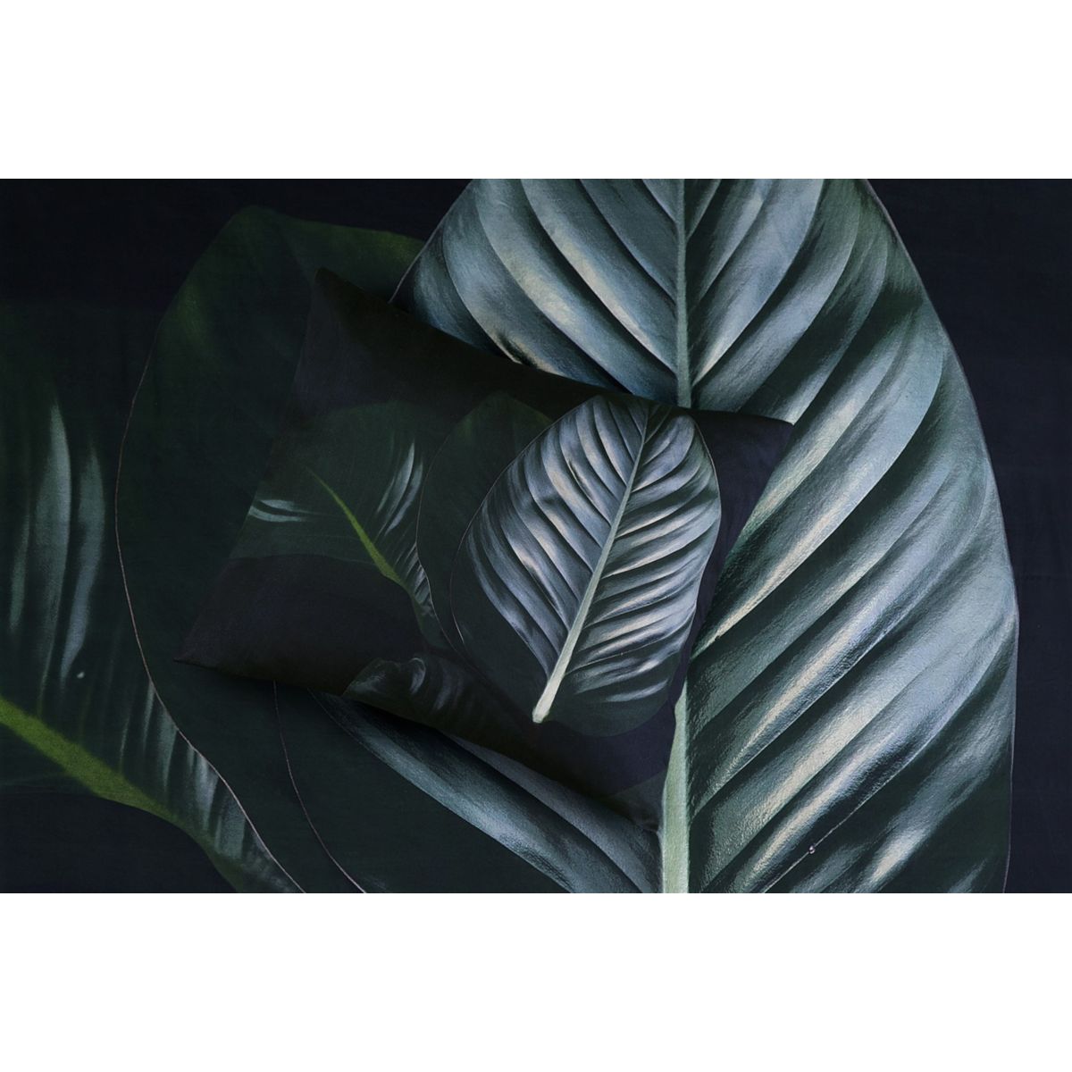 Bettwäsche Tropical 125-DE Schwarz / Grün 155cm x 220cm / 80cm x 80cm Bild 5