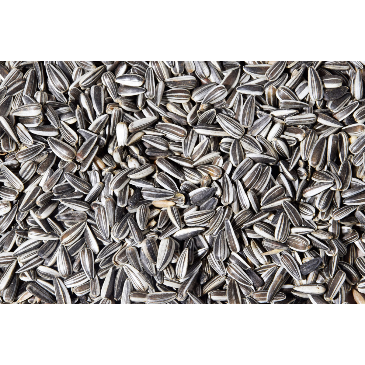 dobar Sonnenblumenkerne 20 kg