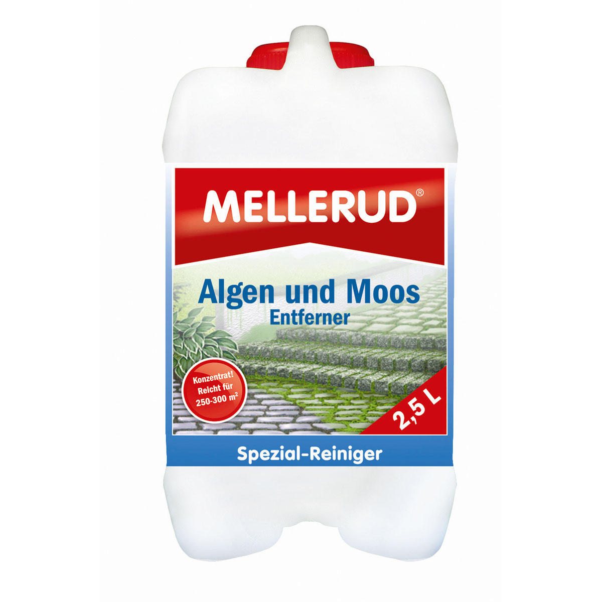 Algen und Grünbelag Entferner