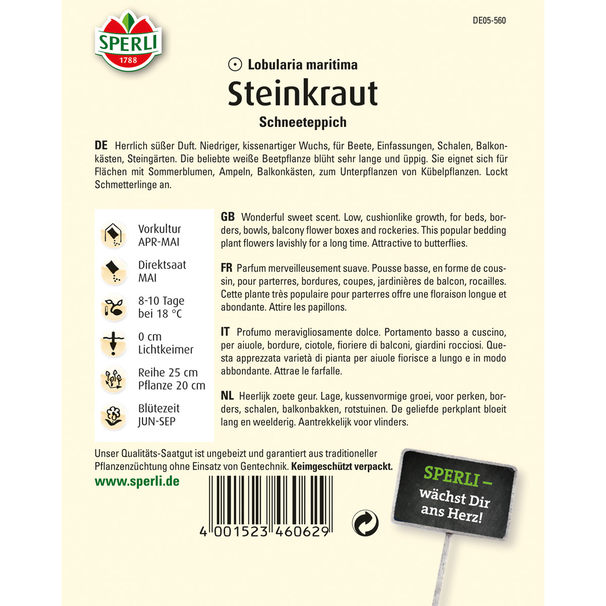 Sperli Steinkraut s Schneeteppich Bild 2