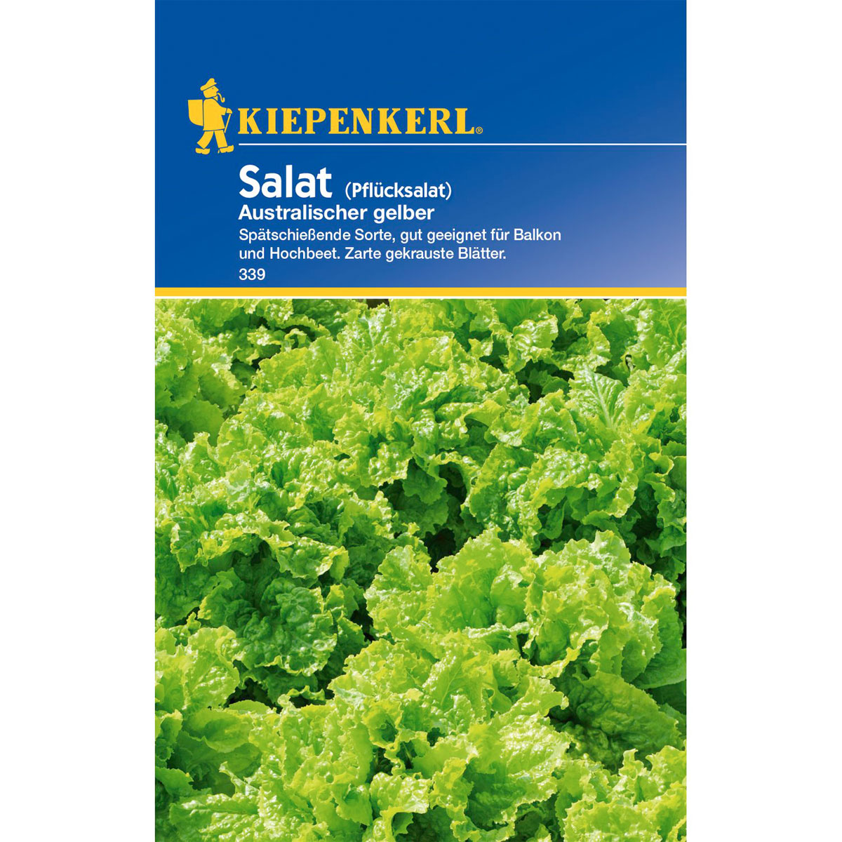 Kiepenkerl Salat Australischer gelber