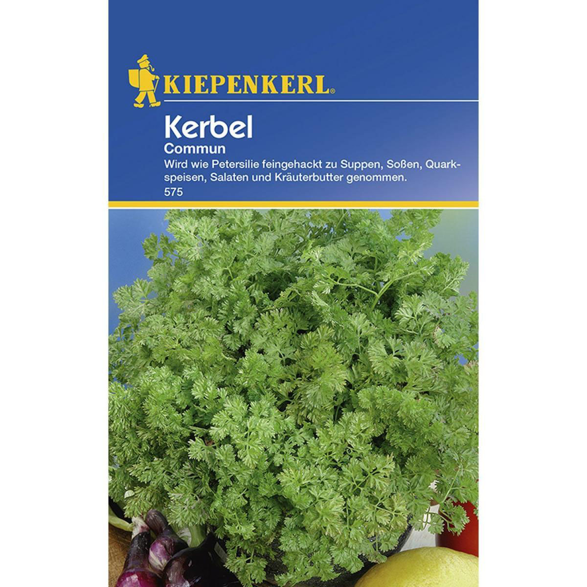 Kiepenkerl Kerbel Commun einjährig Bild 1