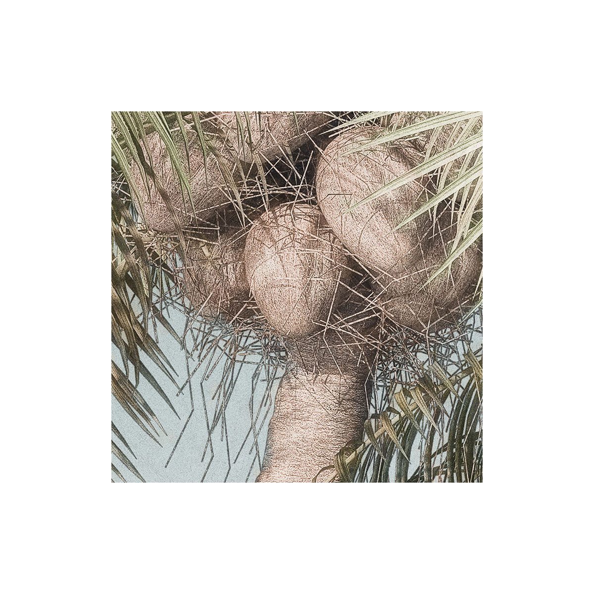 Komar  Selbstklebende Vlies Fototapete rund Hush Durchmesser 125 cm Bild 3