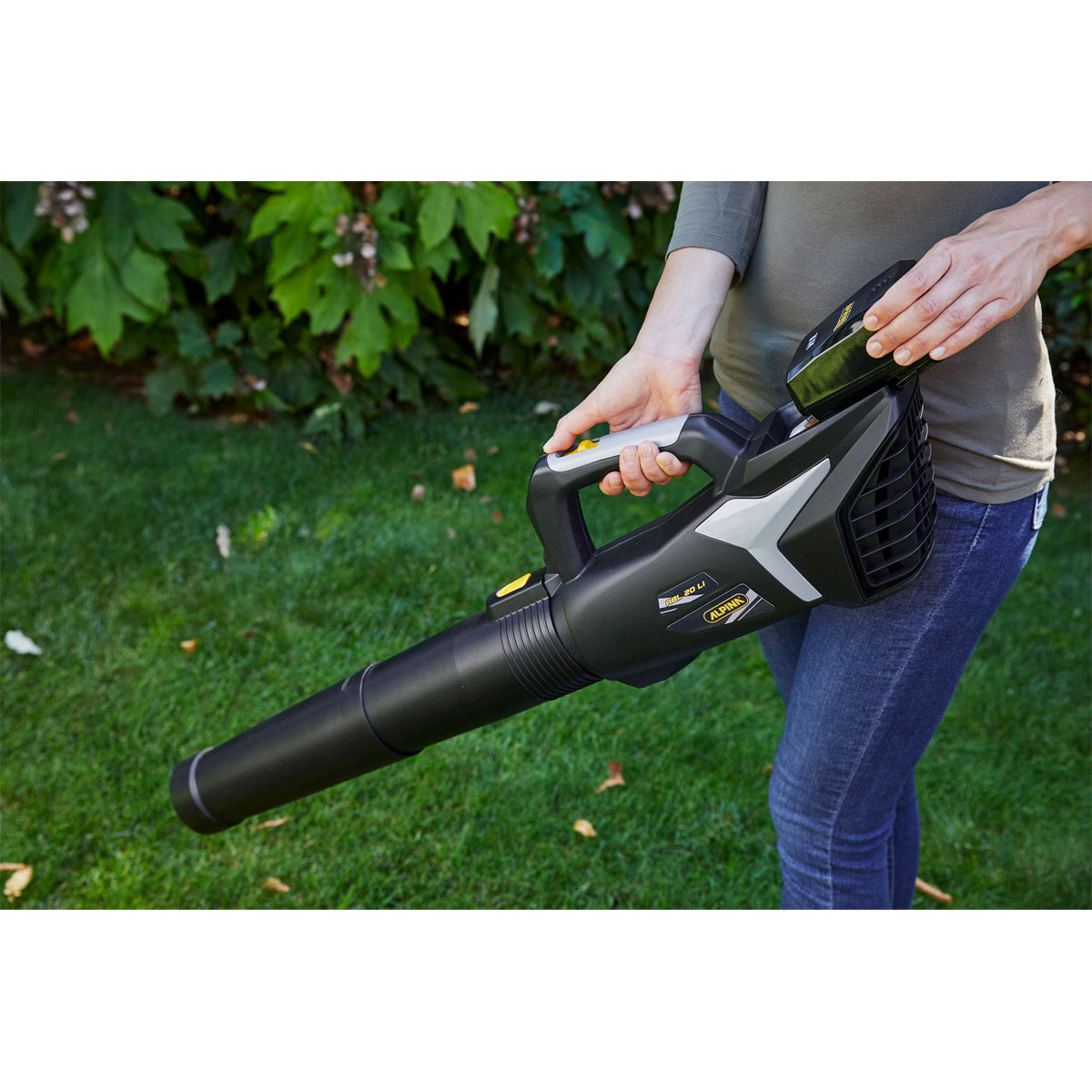 Alpina-Garden Akku-Laubbläser-Set ABL 20 Li 20V 3-teilig Bild 7
