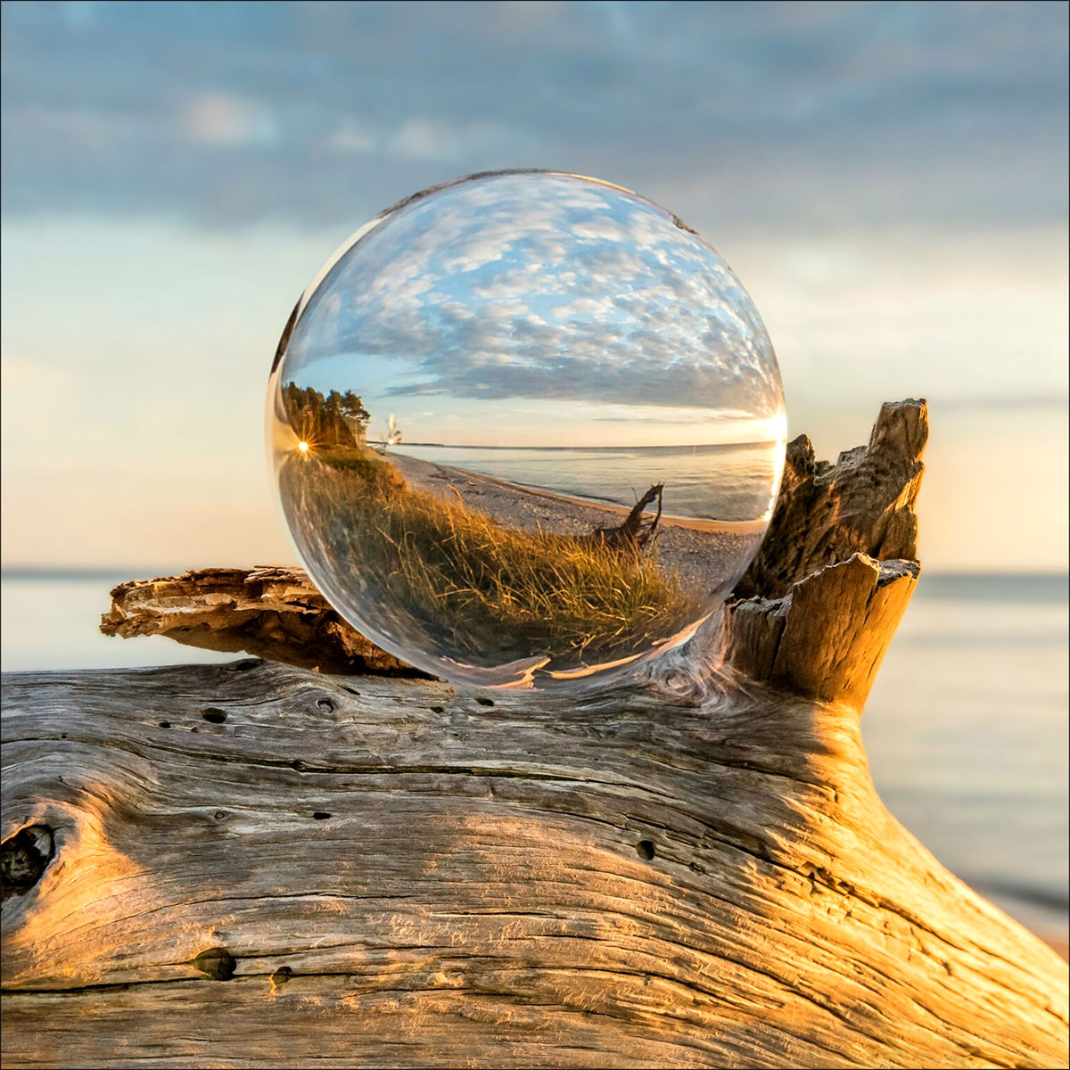 Glas-Art Drop On Wood 20 x 20 Glasbild