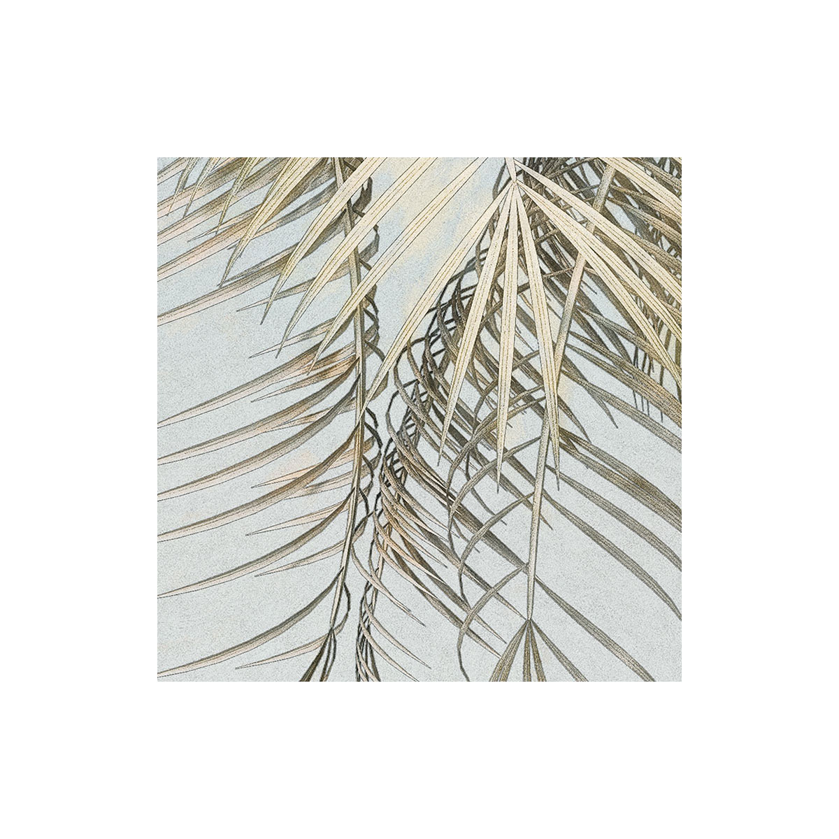 Komar  Selbstklebende Vlies Fototapete rund Hush Durchmesser 125 cm Bild 4