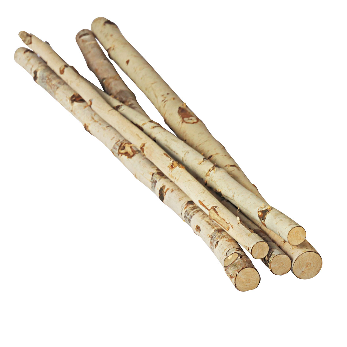 Birkenstamm 90 cm Durchmesser 2-4 cm Bild 3