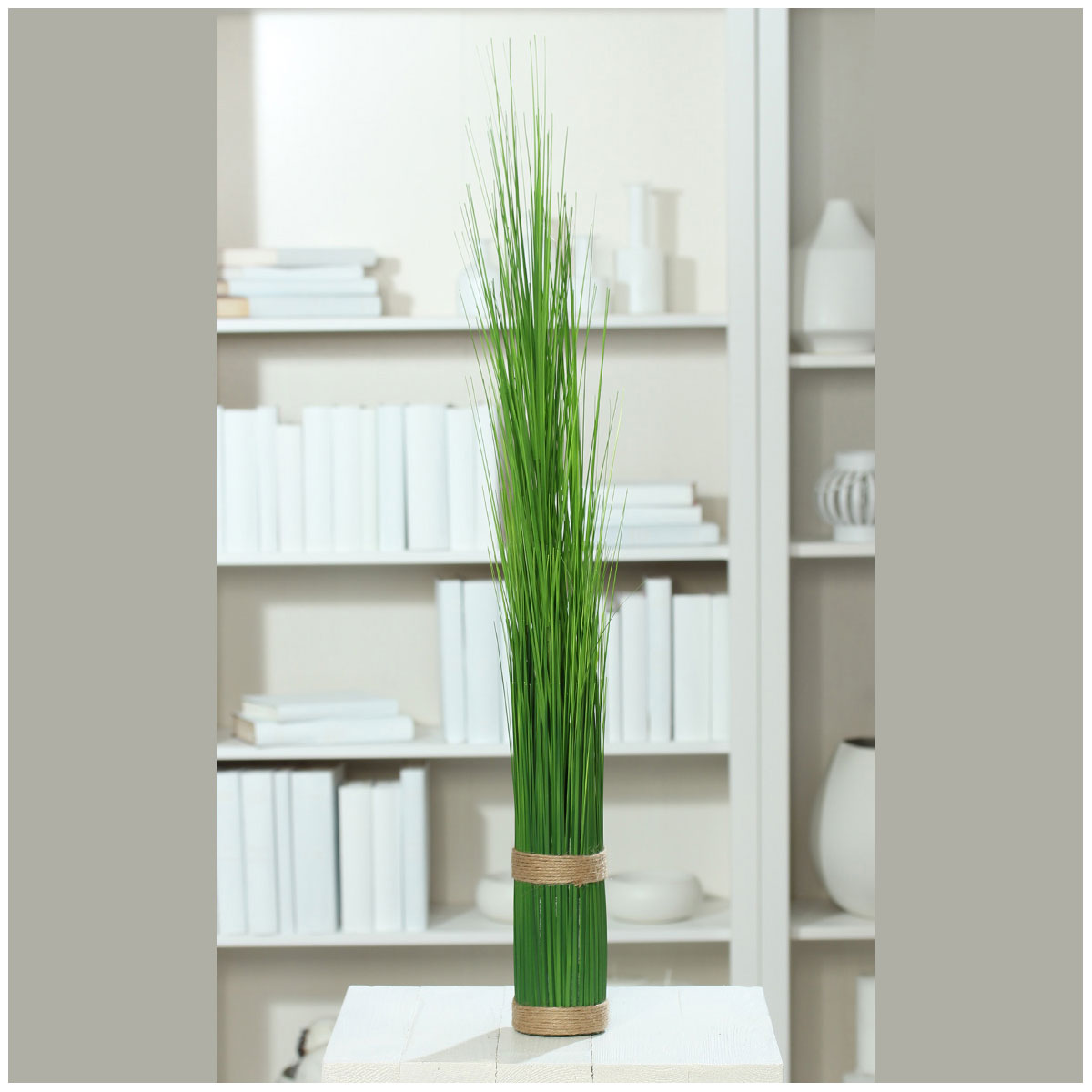 Stehgras-Bündel 90 cm