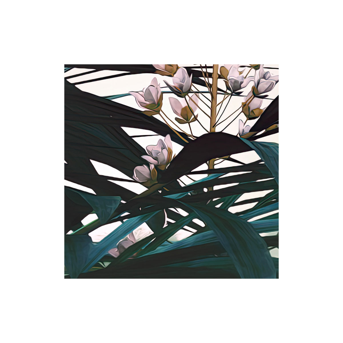 Komar  Vlies Fototapete Jungle Morning 400x250 cm Bild 8