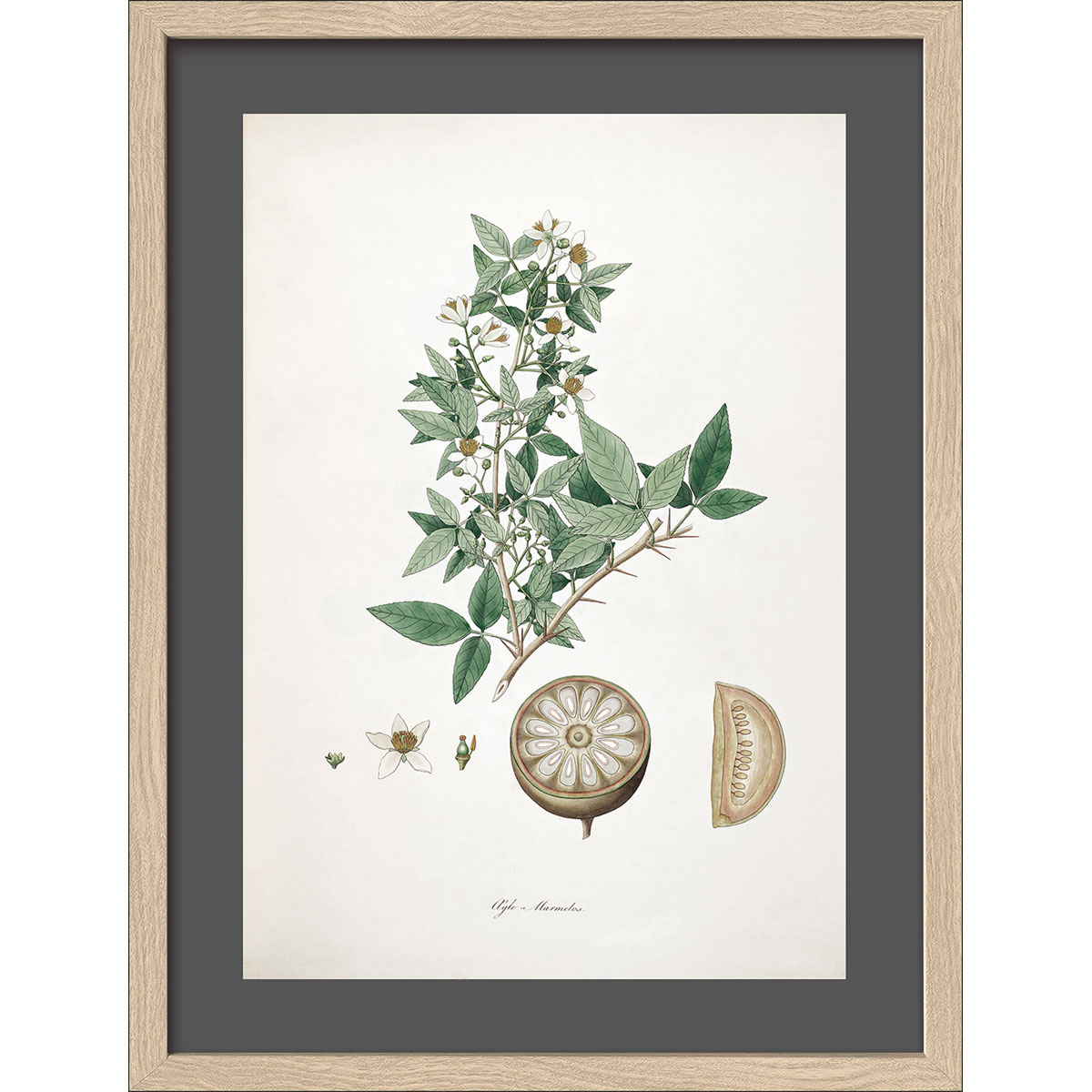 Framed-Art AN1311B25 30 x 40 33 x 43