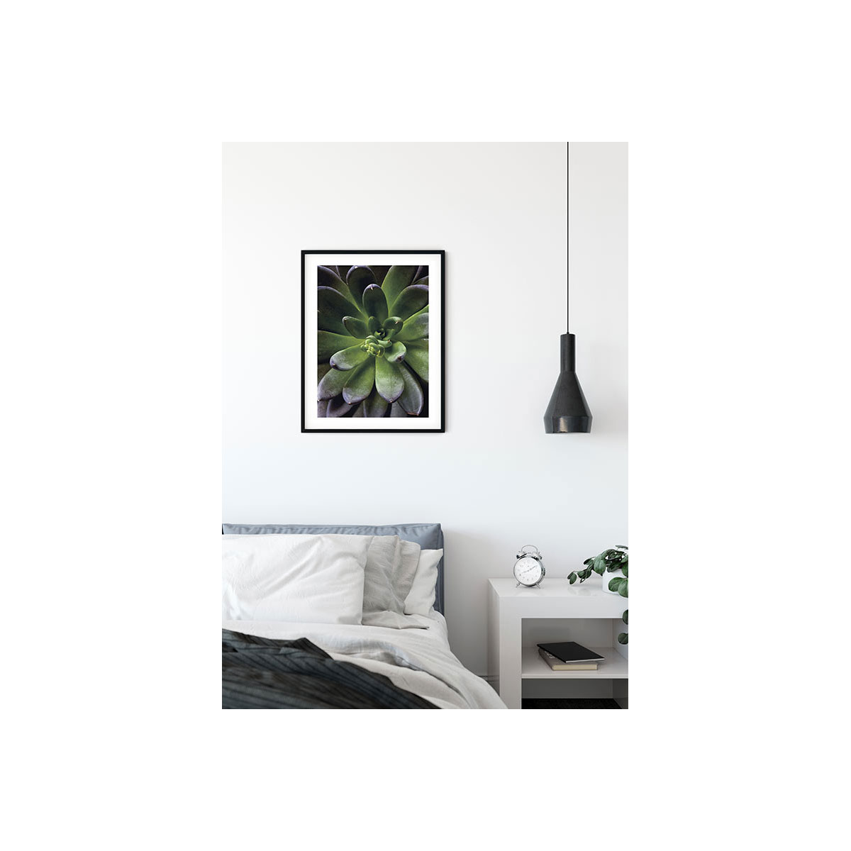 Komar  Wandbild Succulent Single 30x40 cm Bild 4