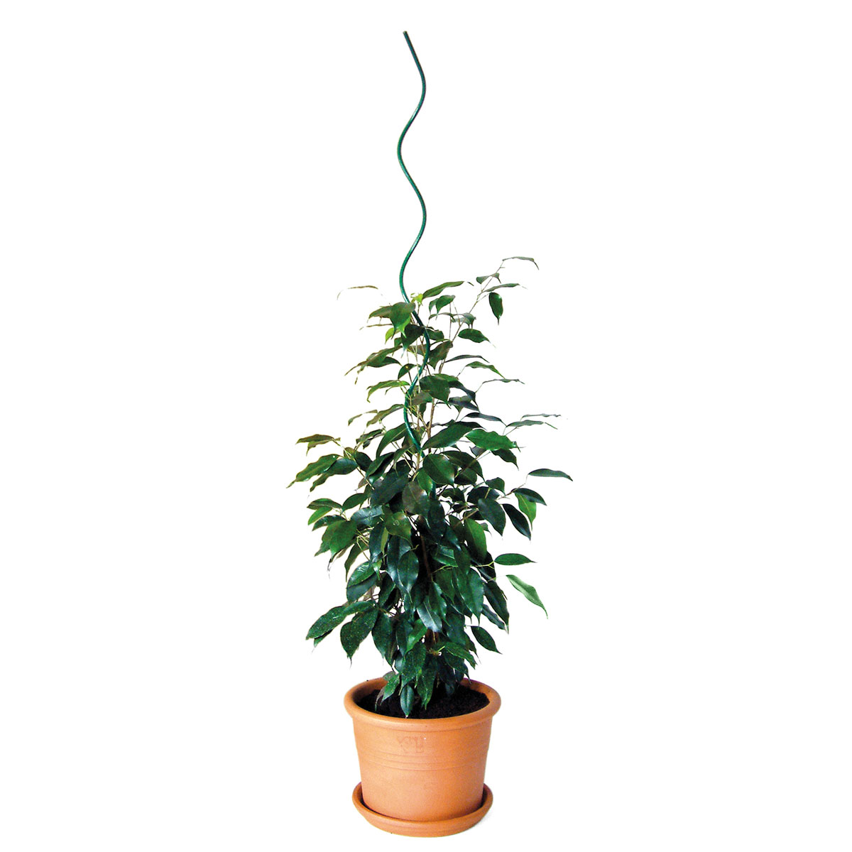 Pflanzspirale 110 cm grün Bild 1