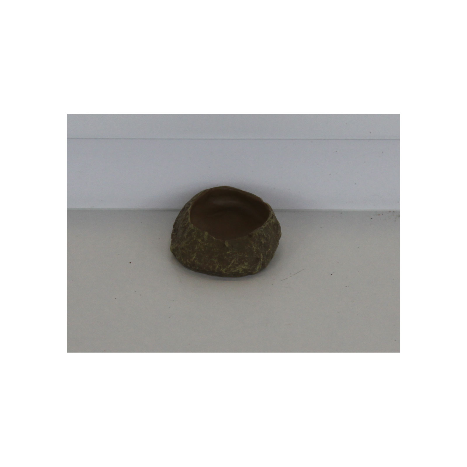 Reptiles-Planet Futternapf XS Bild 3