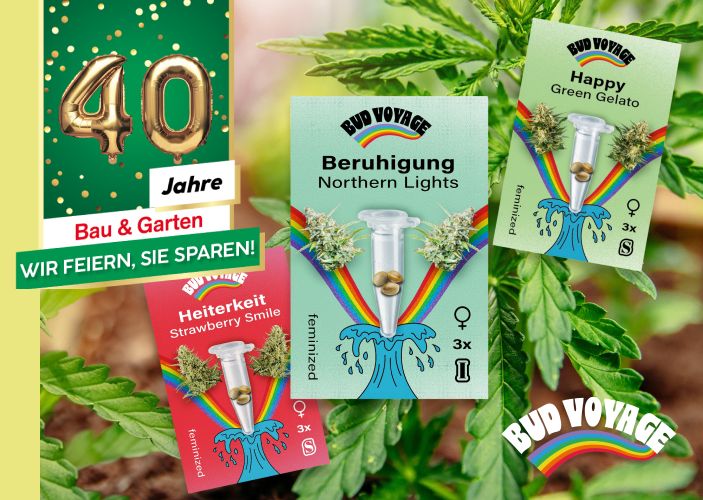 Hanfsamen von Bud Voyage