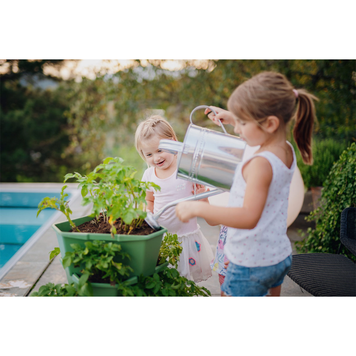 Anzuchtsgefäß Paul Potato dunkelgrün 4er Set Bild 4