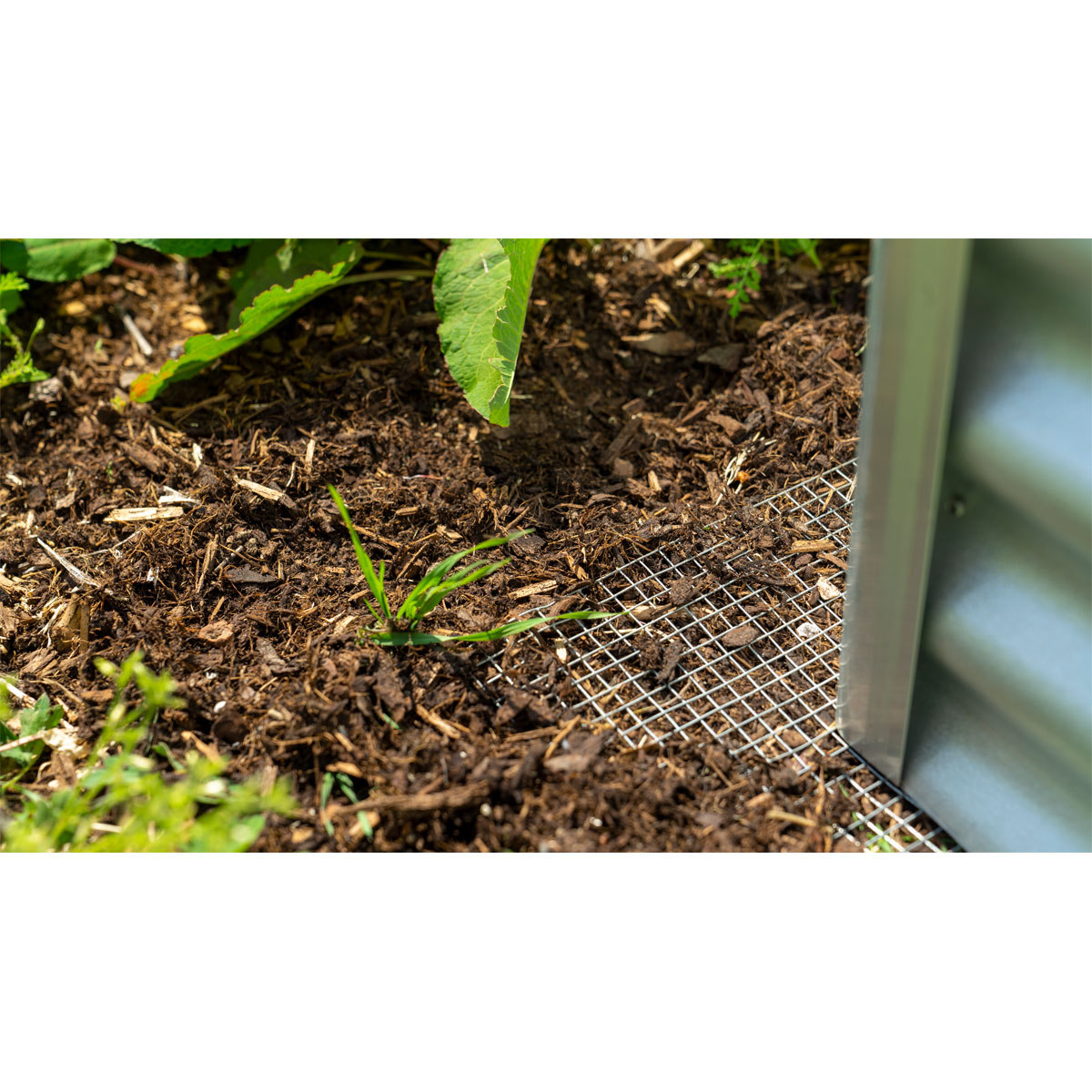 Vitavia  Drahtgeflecht Draneo Bild 5