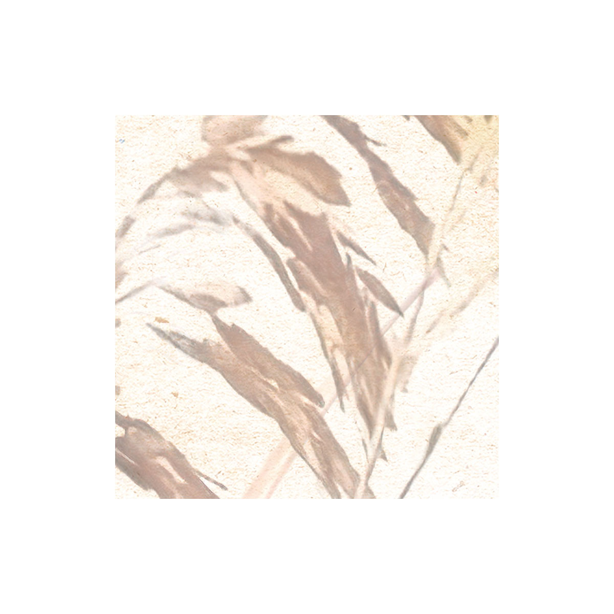 Komar  Vlies Fototapete Dune Grass 400x250 cm Bild 8