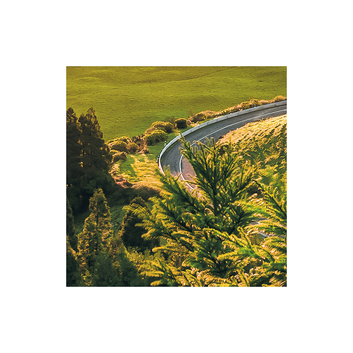 Komar  Vlies Fototapete Paradise Island 400x250 cm Bild 4