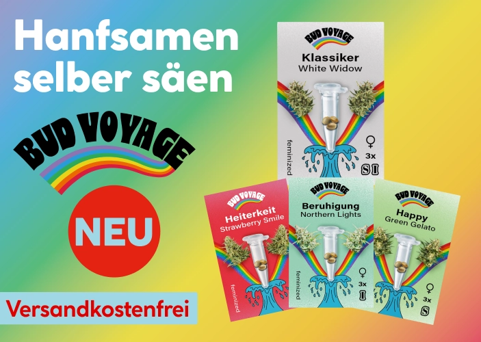 Hanfsamen selber säen: Bud Voyage NEU - Versandkostenfrei