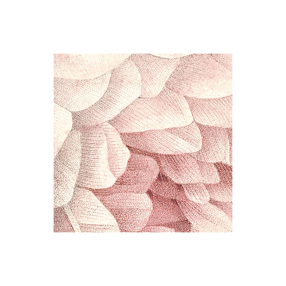 Komar  Vlies Fototapete La Maison 368x248 cm Bild 7