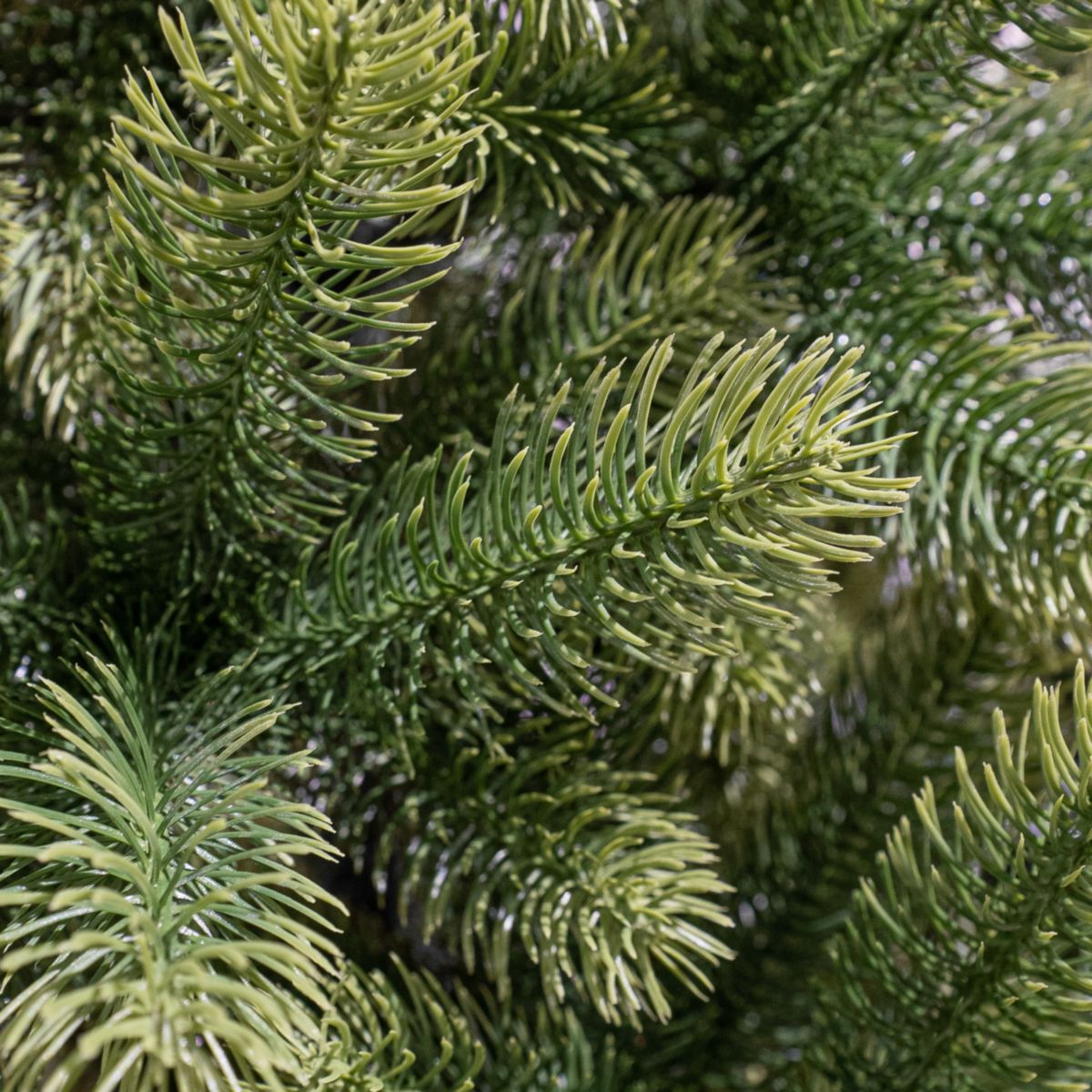 Nagoya Weihnachtsbaum grün 180x108 cm Bild 4