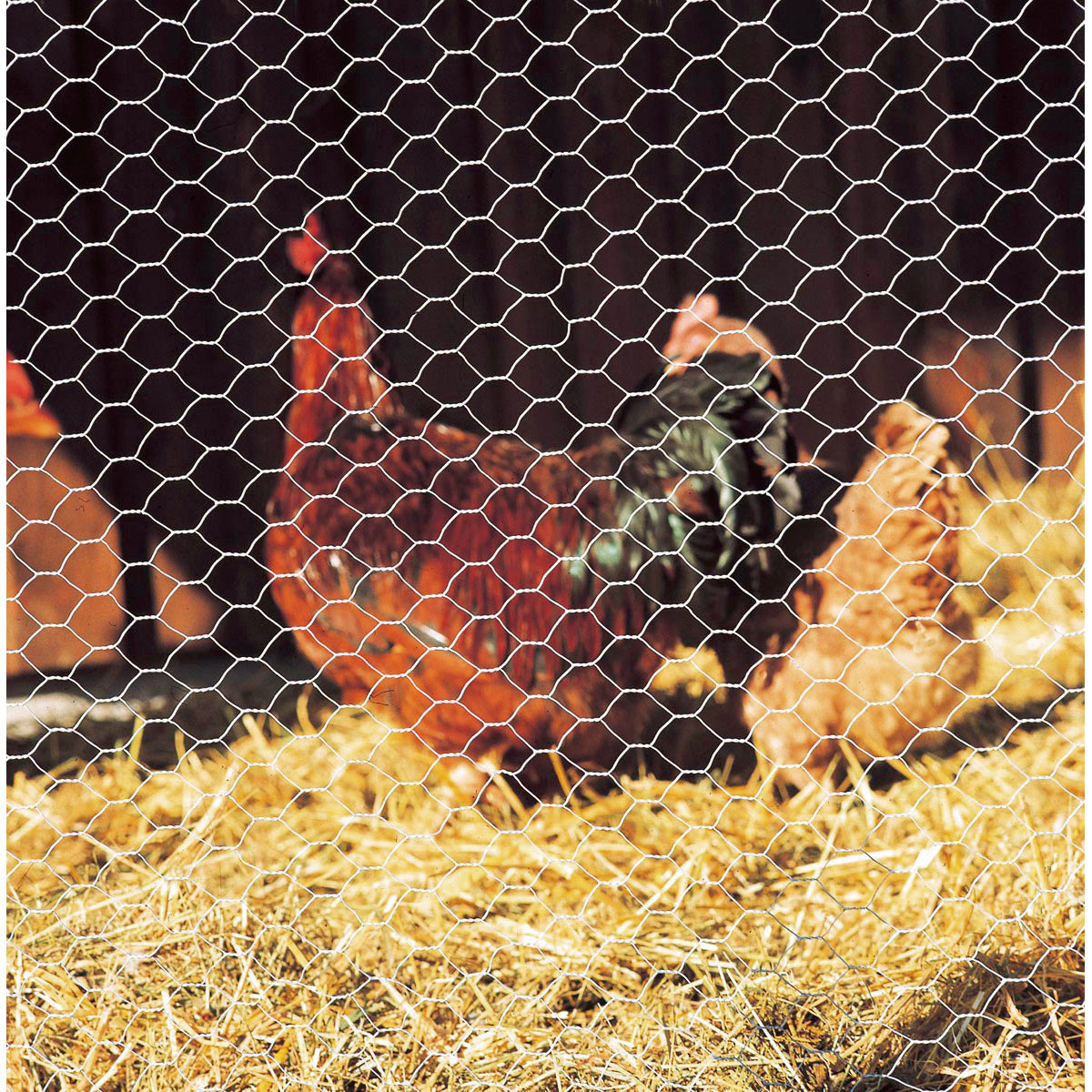 GAH Alberts Sechseckgeflecht verzinkt Höhe 500 mm Länge 25 Meter Masche 13 x 13 Bild 2