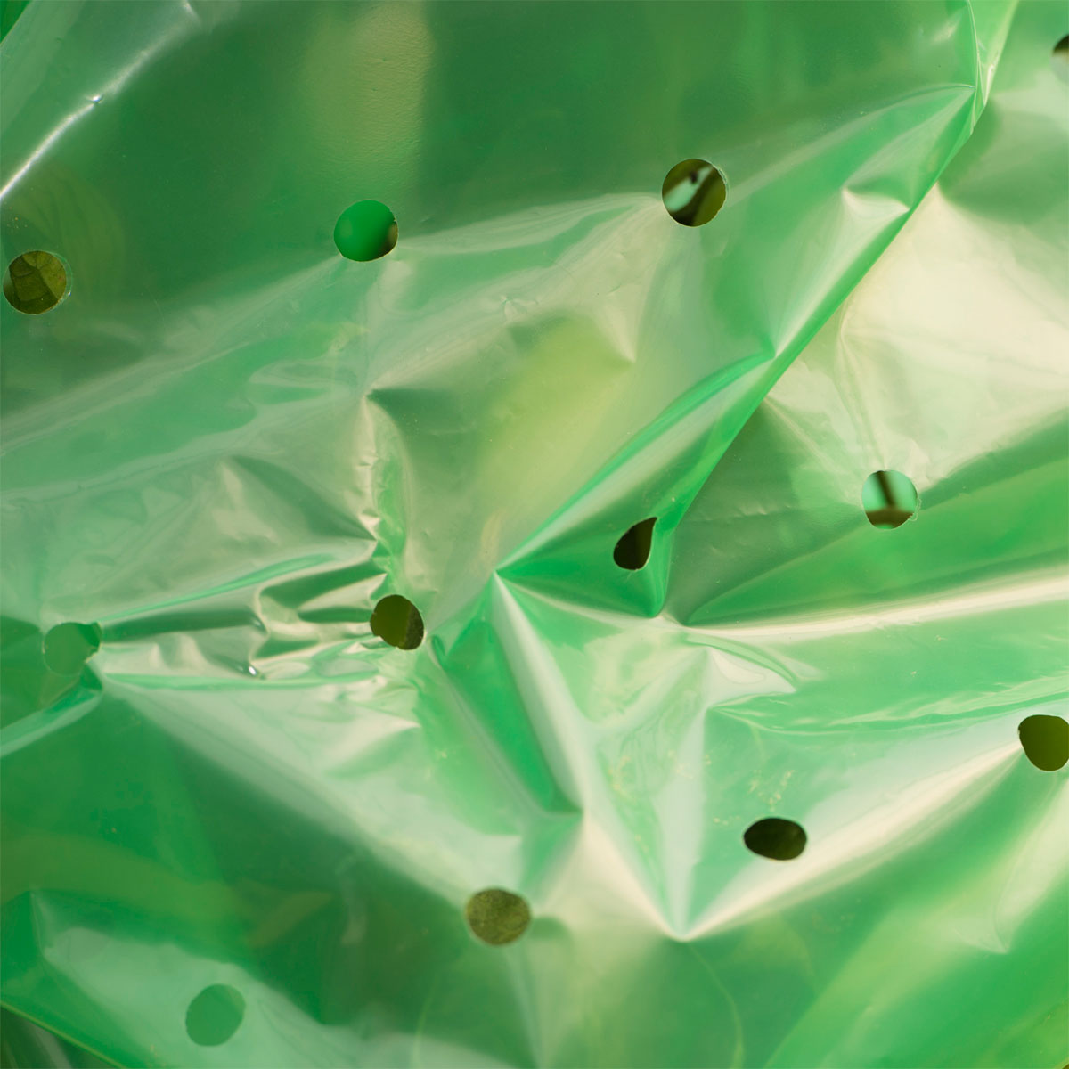 Windhager  Tomaten-Folien-Schlauch Strong 10x0,75 m Bild 4