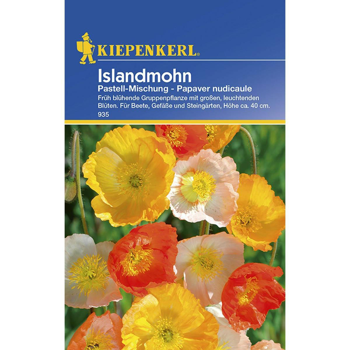 Kiepenkerl Islandmohn Pastellmischung Bild 1