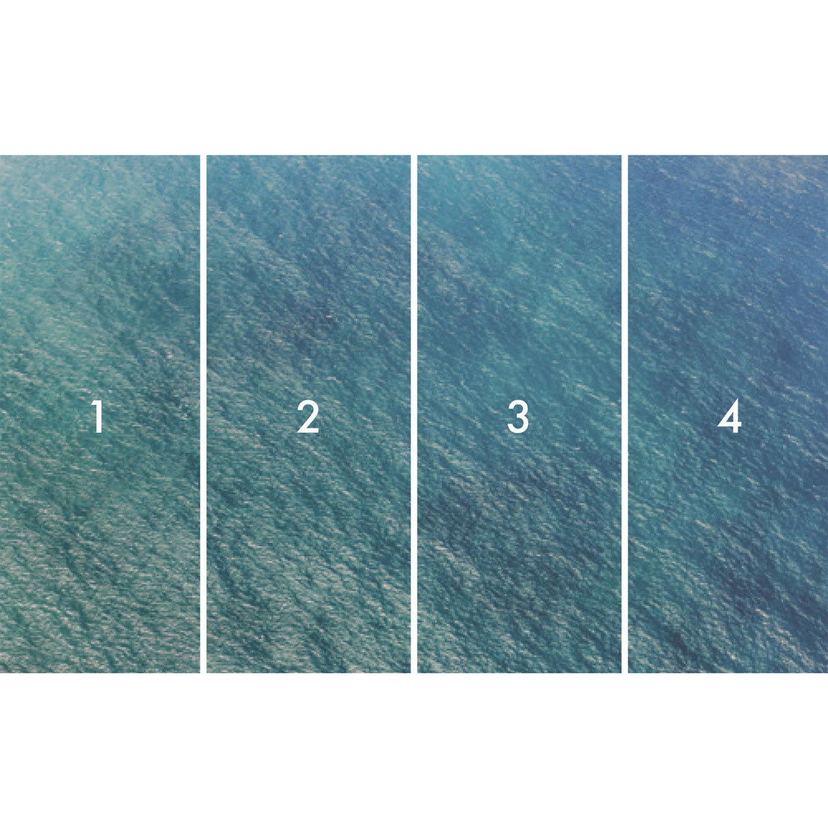 Komar  Vlies Fototapete Blaupause 400x250 cm Bild 3