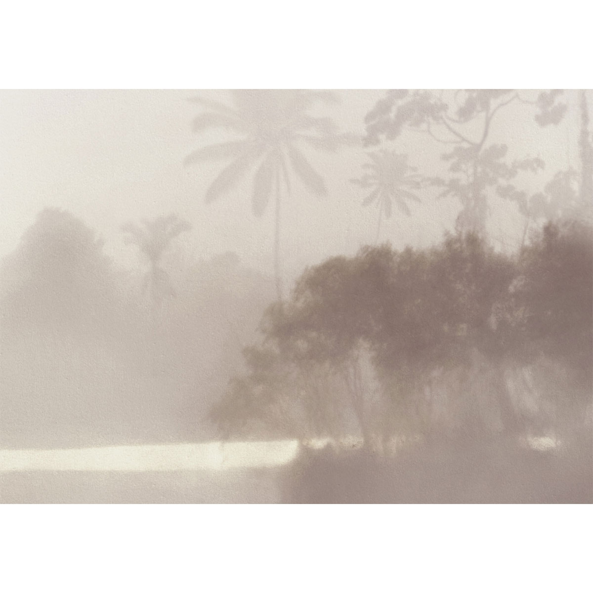 Komar  Vlies Fototapete Lac Tropical Pure 200x280 cm Bild 4