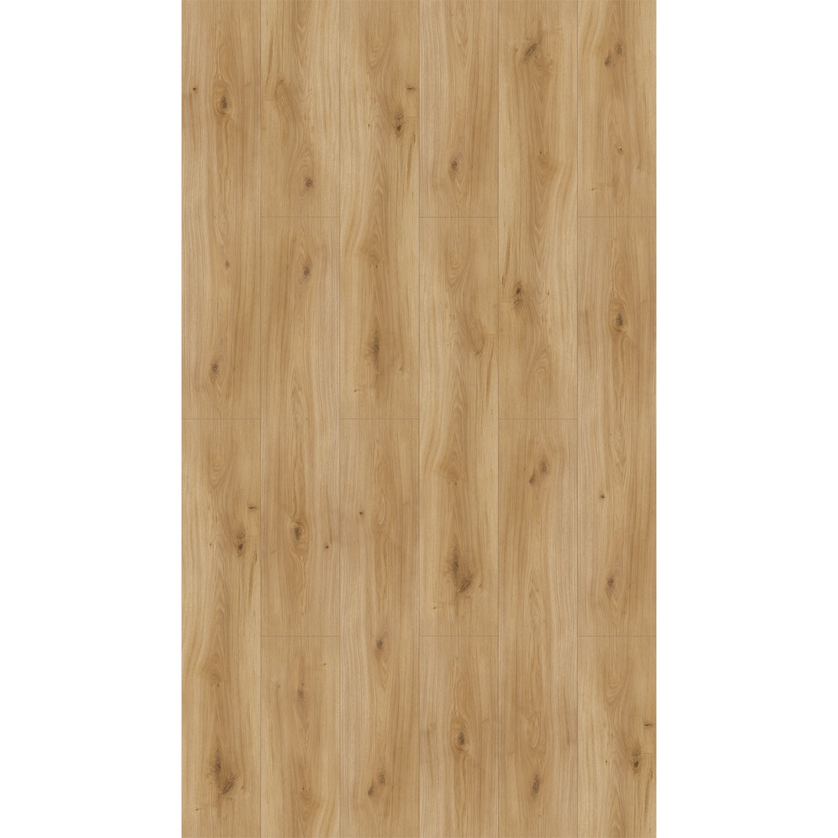 Parador Laminatboden „Basic 600“, Eiche Horizont Natur, Seidenmatte Struktur, 24,3x128,5 cm Bild 2