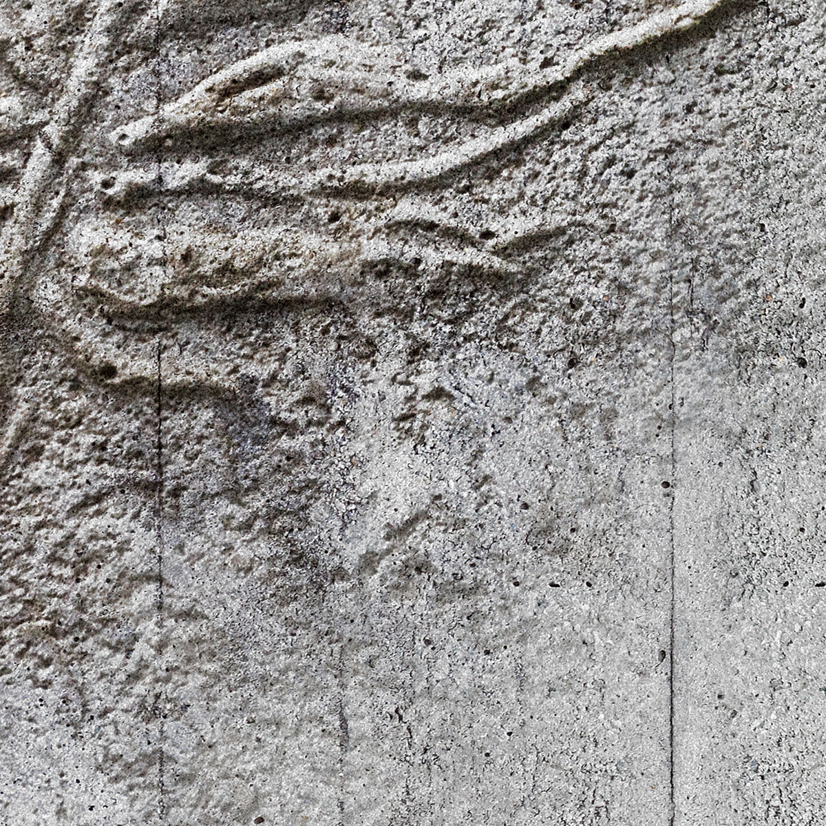 Komar  Vlies Fototapete Concrete Feather 350x250 cm Bild 7