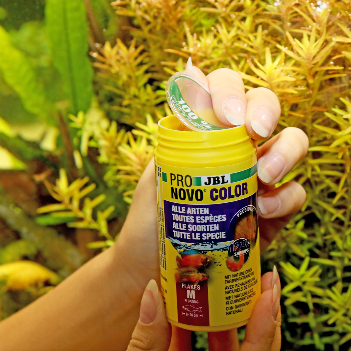 JBL  PRONOVO COLOR FLAKES M 100ml Bild 6