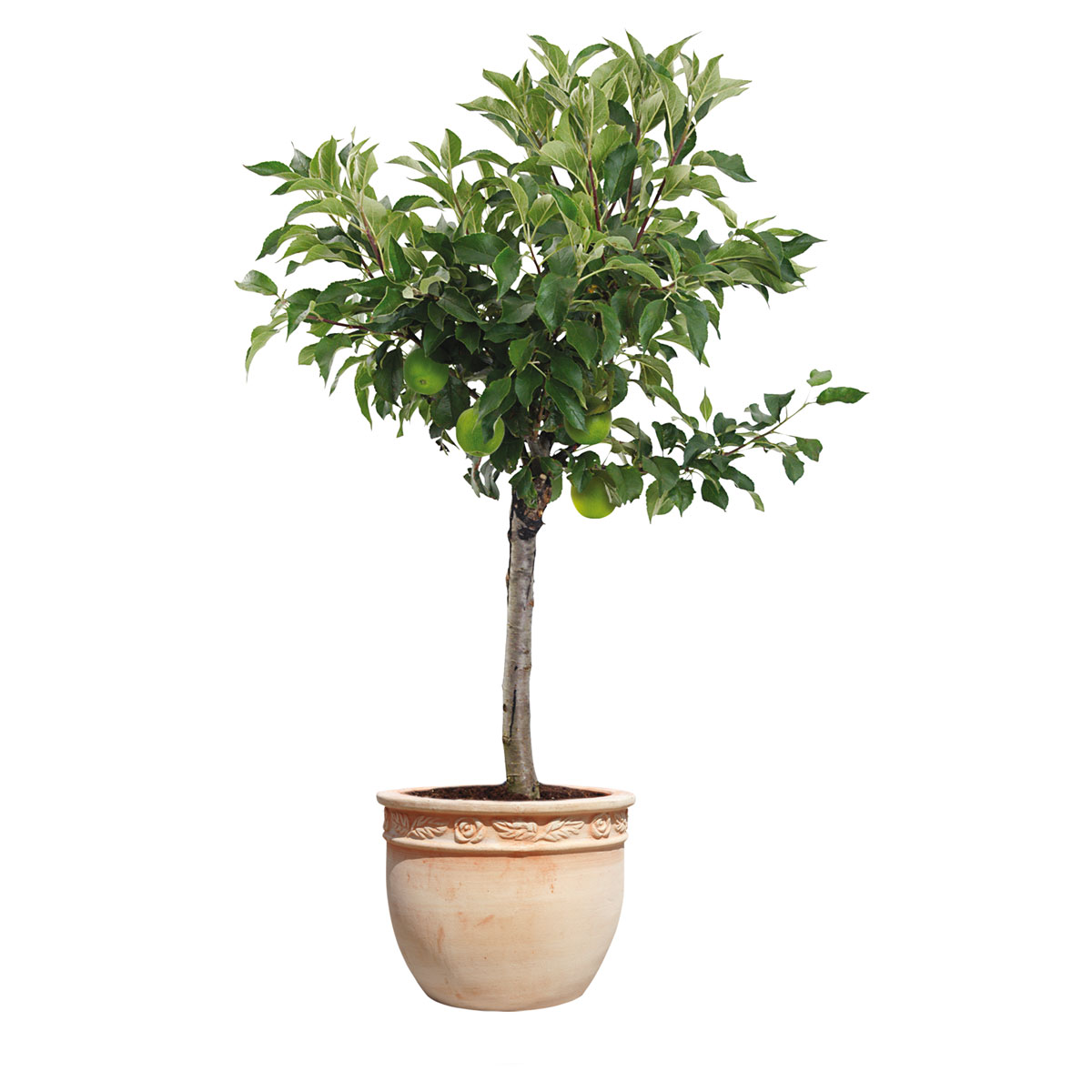 Haveson Terrakotta-Pflanzkübel Rosato Durchmesser 33 x 27 cm Bild 2