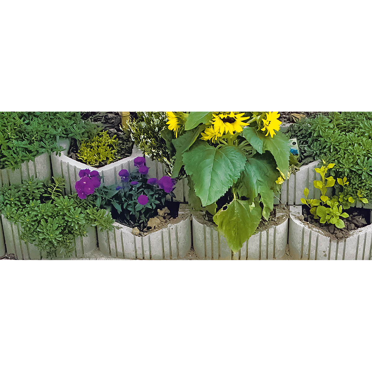 Böschungsstein Pino 26 x 26 x 11,5 cm grau Bild 2