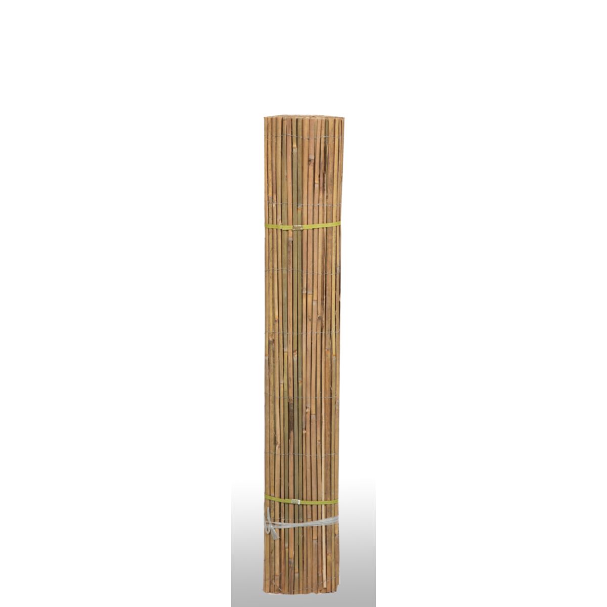 floraworld Sichtschutz Classic Bambushalbsch 3,0x1,5 m