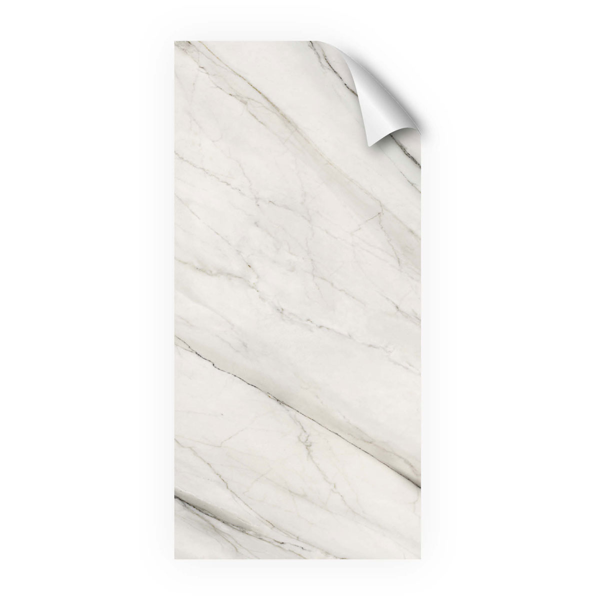 MySpotti Fresh DuschrückwandfolieKylie Bild 3