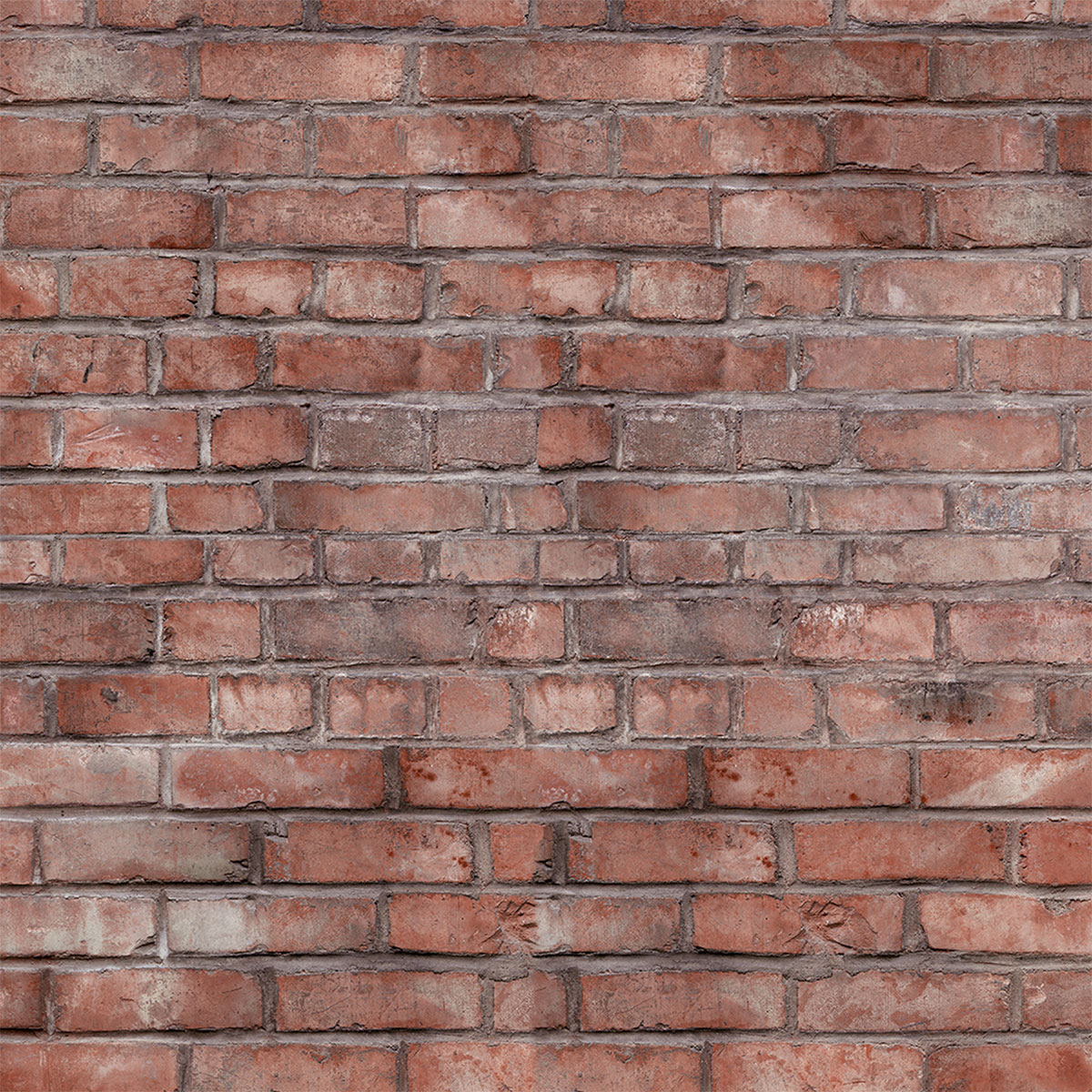 Schulte ExpressPlus Duschrueckwand DecoDesign Dekor Klinker 2550 x 1000 Bild 2